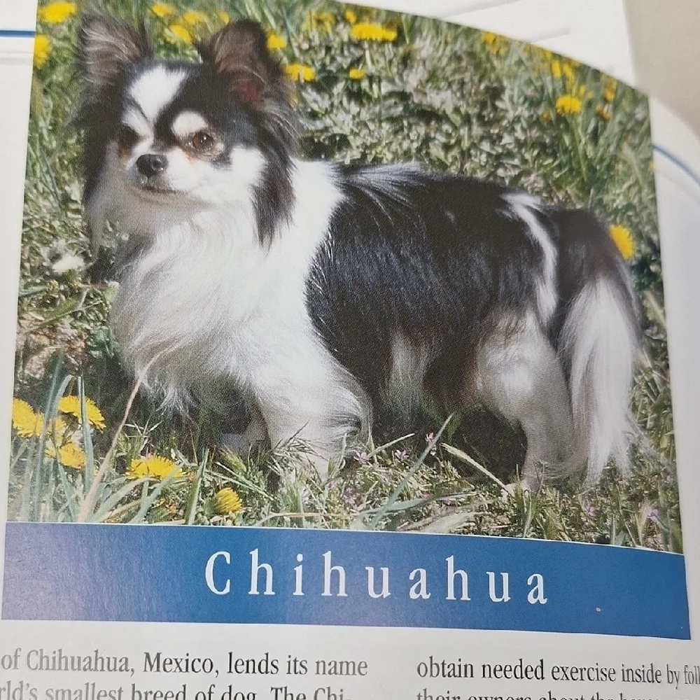 Small Dog Breeds Guide - Brown and Gray Cover